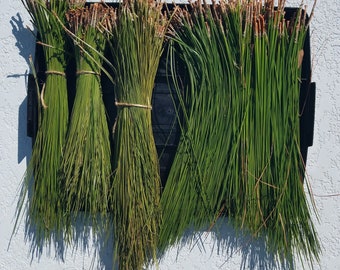 May include: Bundles of green pine needles tied together with twine, arranged in a black tray on a white textured wall.