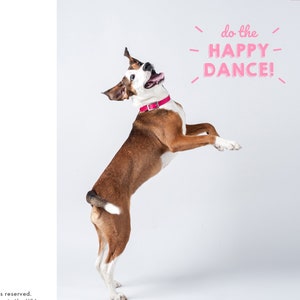 A2 4,25 x 5,5" Hound Hund - tun die gerne tanzen! Grußkarte | Karten für die Pet-Liebhaber | Feiern Sie Geburtstag-Herzlichen Glückwunsch-Notiz-Karte