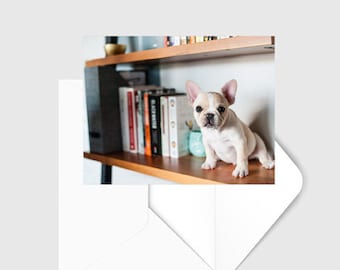 A2 4.25 x 5.5" French Bulldog Puppy Greeting Card (Blank) - All Occasions, Dog Lover, Birthday, Thinking of You