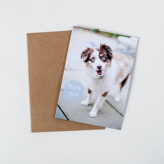 Australian Shepherd Dog Thank You Card Happy Dog Lover Greetings Thank You  I'm Still Smiling. Note Cards Stationery Dog Smile - Etsy
