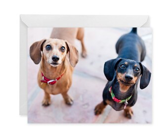 Blank Dachshund Doxie Card | Friendship Just Because All Occasions A2