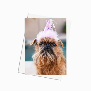 Buon compleanno al mio animale da festa preferito! Biglietto di auguri del Grifone di Bruxelles