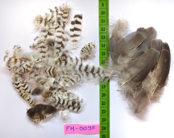 Lot of striped white - black and grey feathers