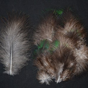 May include: Two clusters of feathers against a black background. One cluster is a single, large, gray feather with a white spine. The other cluster is a mix of brown and green feathers, with some iridescent green tips. These feathers are likely used for crafting.
