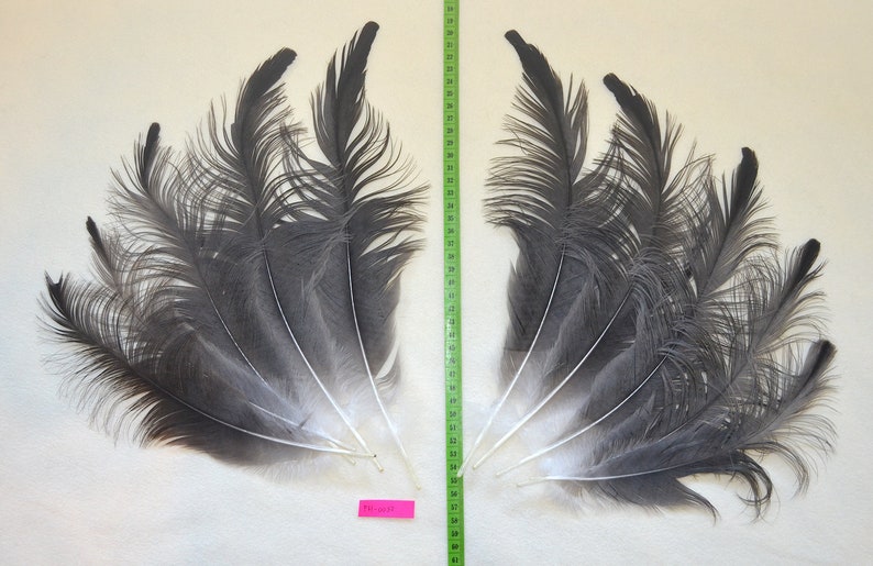 Lot of 5 matched pairs crane feathers for fly tying or crafts.