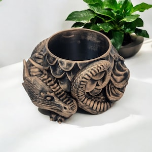 May include: A gold-toned ceramic planter shaped like a dragon curled up with its head resting on its tail. The planter has a black interior and is perfect for holding small plants.