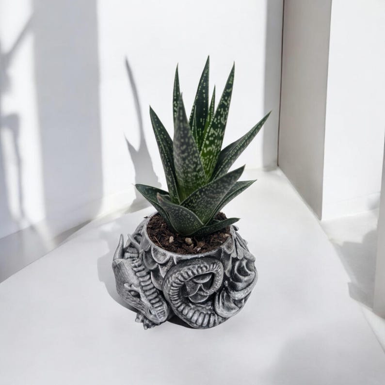 Pode incluir: Uma pequena planta suculenta num vaso cinzento em forma de drag&atilde;o. O vaso do drag&atilde;o &eacute; detalhado com escamas e uma cauda enrolada. A suculenta tem folhas pontiagudas verde-escuras com manchas brancas. O vaso est&aacute; numa superf&iacute;cie branca.