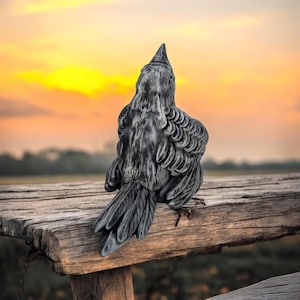 May include: A black bird figurine perched on a weathered wooden fence post, facing away from the camera, with a sunset in the background.