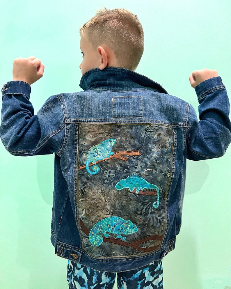 Boys Chameleon Playground Jacket image 1