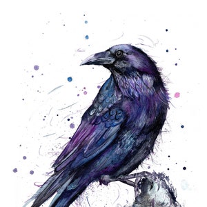 Estampa de corvo. Impressão de pássaro aquarela Raven em lindos tons de roxo e azul. Cartão Raven. Arte corvo. Decoração de parede corvo. Presente do corvo.
