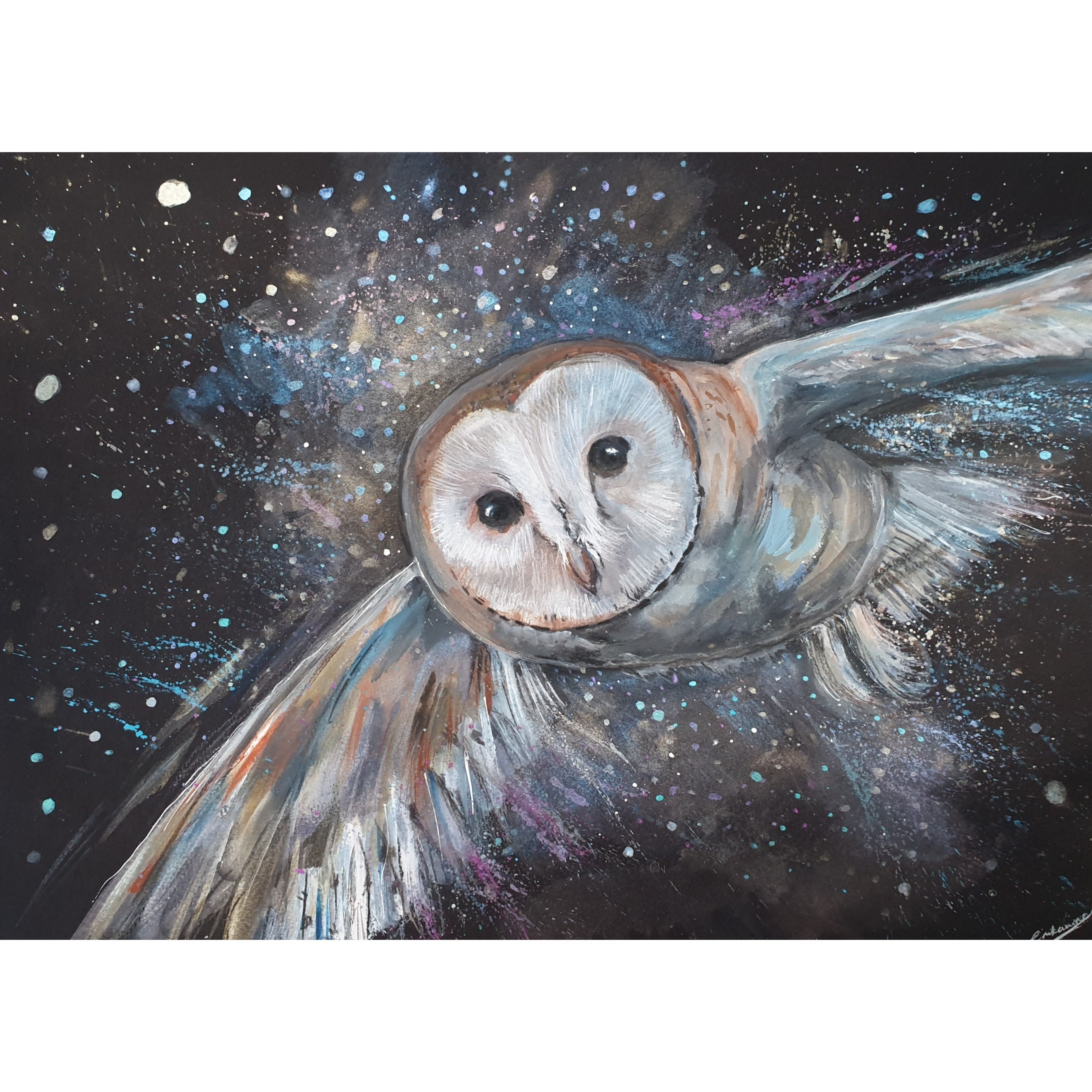 Barn owl painting. Batn owl at night. A beautiful watercolour barn owl painted on black A3 watercolo