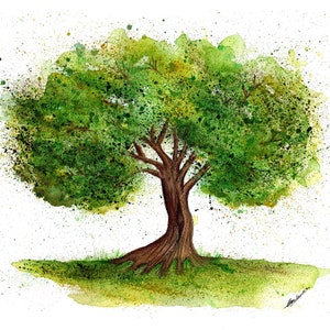 Four Seasons Tree Watercolour Prints. Spring Cherry Blossom, Summer ...