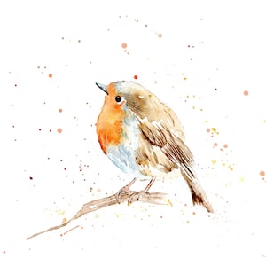 Robin-print. Robin-wenskaart. Robin-kunst. Robin-decoratie. Kerstcadeau. Robin-waterverf. Spetterkunst.