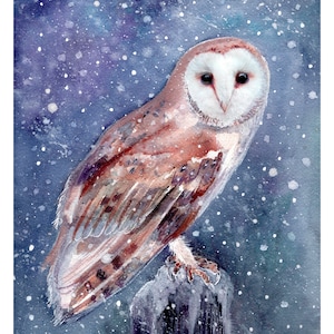 Impresión de lechuza común en la nieve. Tarjeta de felicitación con lechuza común. Arte con lechuza común. Decoración de pared con lechuza común. Regalo con lechuza común. Acuarela de lechuza común. Acuarela de lechuza común.