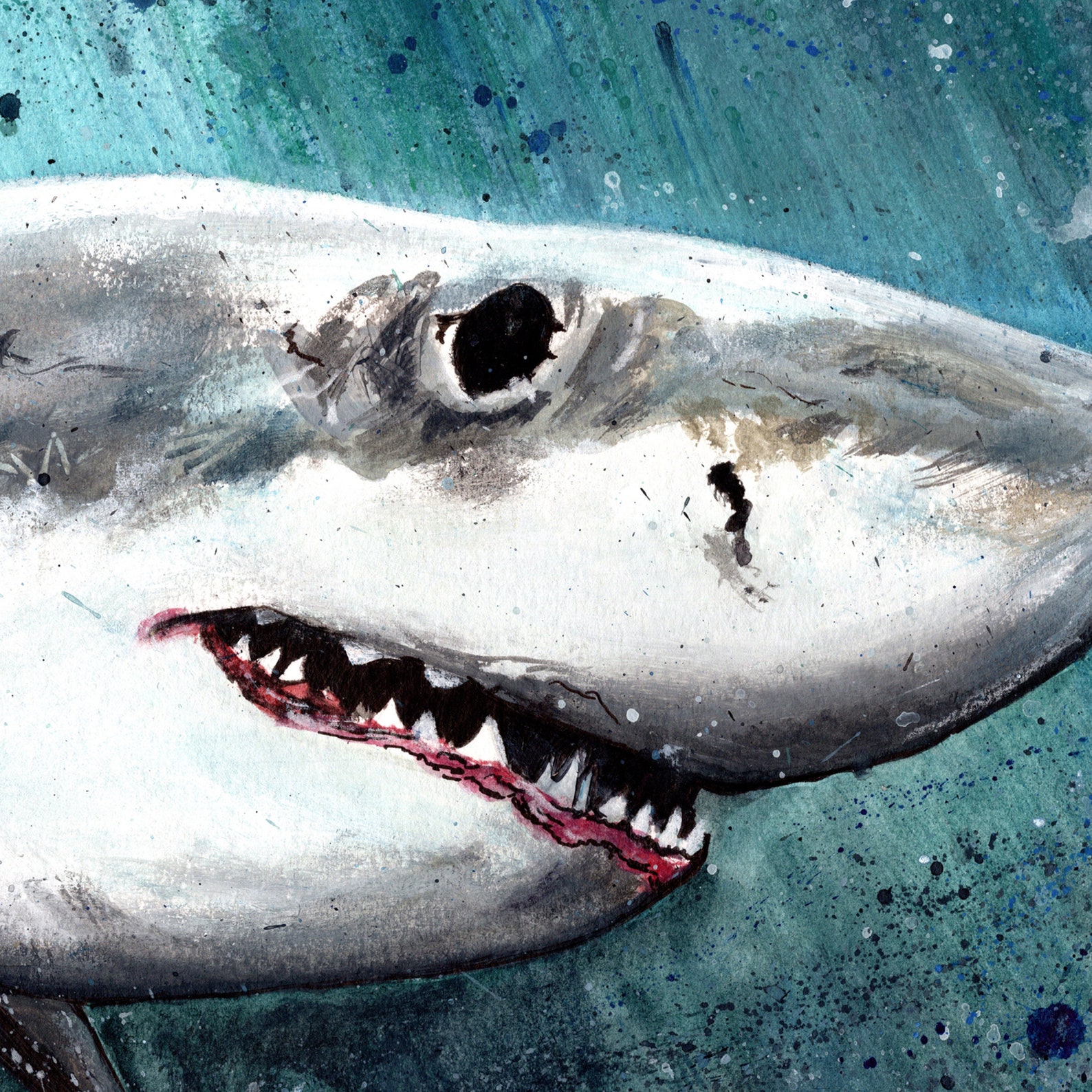 Great White Shark print. Shark wall art. Shark art. Shark wall | Etsy