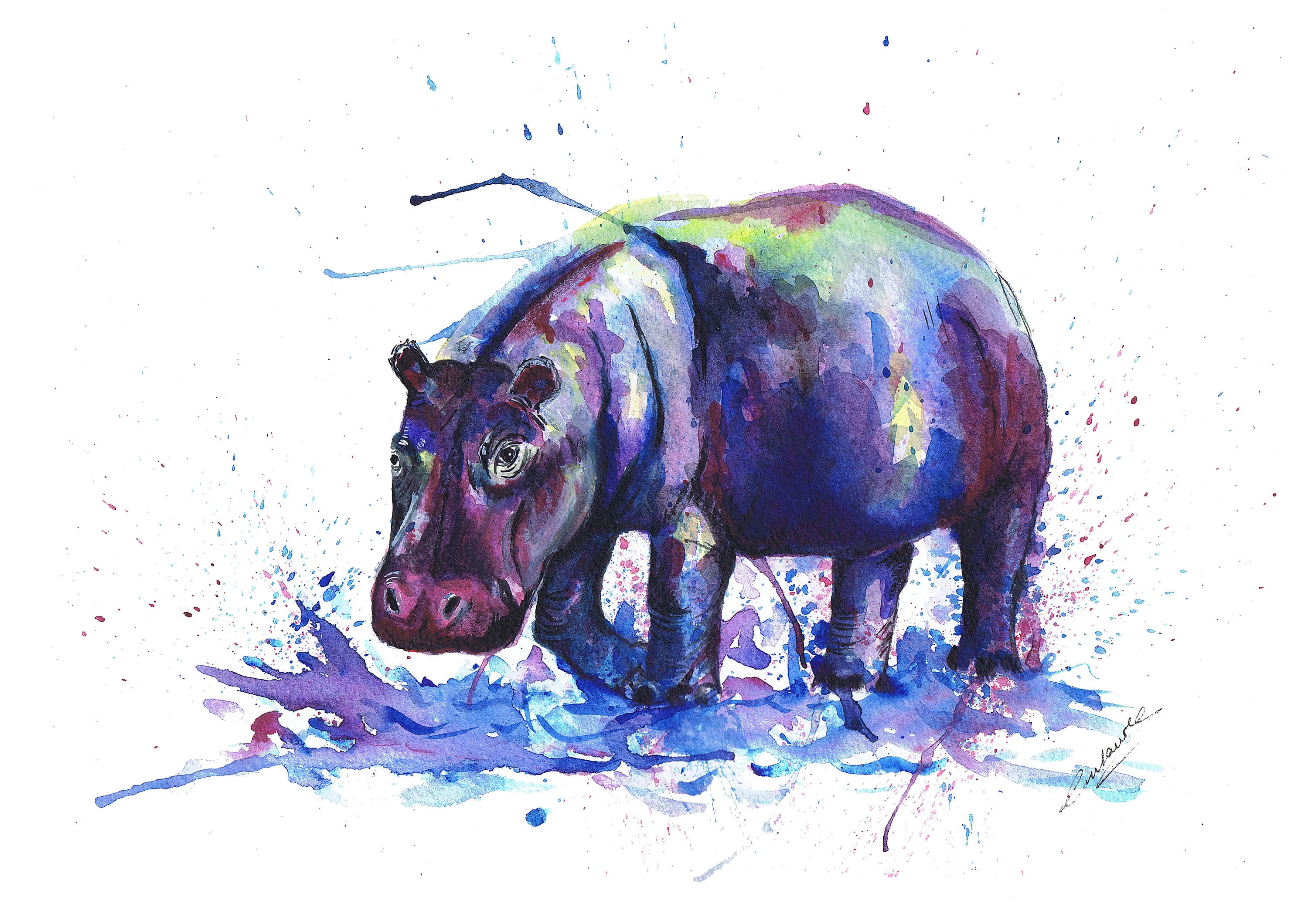 Hippo print. Hippo greeting card. Hippo art. Hippo wall decor. Etsy