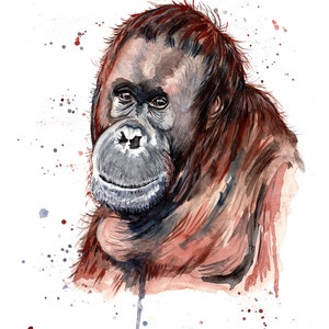 Impression aquarelle orang-outan. Carte de voeux orang-outan. Orang-outan Art mural orang-outan. Décoration murale orang-outan. Cadeau orang-outan.