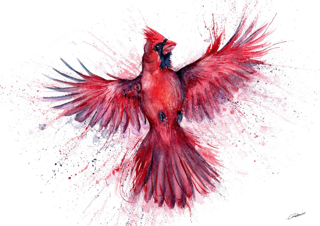 Red Cardinal Watercolour Print, Cardinal Wall Decor - Etsy