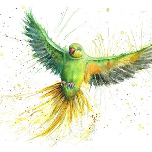Impressão aquarela de periquito verde. Cartão de felicitações de periquito. Decoração de parede de periquito. Presente de periquito. Arte de berçário de periquito. Aquarela de periquito.
