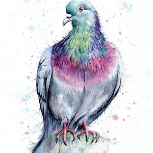 Pigeon print. Pigeon art.Pigeon wall decor. Pigeon gift. Pigeon watercolour.