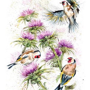 Impressão de pintassilgos em cardos. Cartão de felicitações de pintassilgos. Arte de pintassilgos. Decoração de parede de pintassilgos. Presente de pintassilgos. Aquarela de pintassilgos.