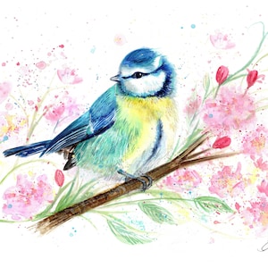 Imprimé mésange bleue. Carte de voeux de mésange bleue. Art mésange bleue. Décoration murale mésange bleue. Cadeau mésange bleue. Aquarelle mésange bleue.