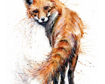 Red Fox Watercolour Print, Nature Wall Art