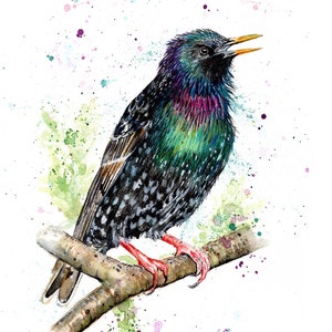 Starling print. Starling greeting card. Starling art. Starling wall decor. Starling gift.
