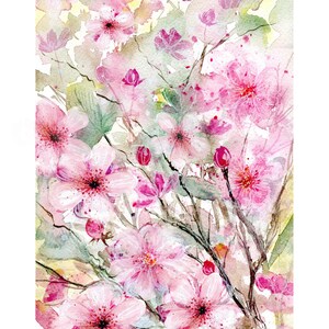 Stampa ad acquerello di fiori di ciliegio. Arte murale di fiori di ciliegio. Arte di fiori di ciliegio. Decorazione murale di fiori di ciliegio. Regalo di fiori di ciliegio. Arte da giardino.