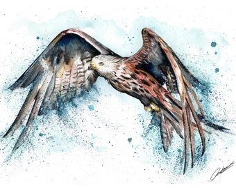 May include: Watercolor painting of a red kite in flight, wings spread wide. The bird's feathers are detailed with shades of brown, red, and white. Blue watercolor splashes surround the bird, creating a dynamic effect. Signed in the bottom right corner.