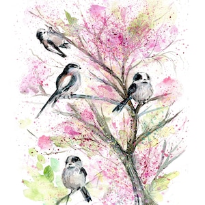 Imprimé mésange à longue queue. Carte vierge de mésange à longue queue. Impression aquarelle. Art des mésanges à longue queue. Décoration murale avec des mésanges à longue queue.