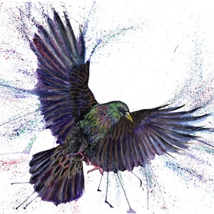 Estampa Starling. Cartão de felicitações de estorninho. Arte Starling. Decoração de parede estorninho. Presente de estorninho.