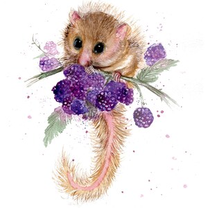 Impression aquarelle loir. Carte de voeux de loir. Art de loir. Décoration murale loir. Cadeau loir.  Aquarelle de loir.