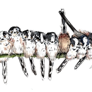 Imprimé mésange à longue queue. Carte vierge de mésange à longue queue. Impression aquarelle. Art des mésanges à longue queue. Décoration murale avec des mésanges à longue queue.