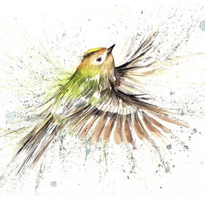 Estampa Goldcrest. Cartão Goldcrest. Arte Goldcrest. Decoração de parede Goldcrest. Presente Goldcrest. Aquarela Goldcrest.