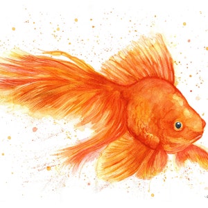 Imprimé poisson rouge orange. Carte de voeux de poisson rouge. Art de poisson rouge. Décoration murale poisson rouge. Cadeau poisson rouge. Aquarelle de poisson rouge. Aquarelle de poisson rouge.
