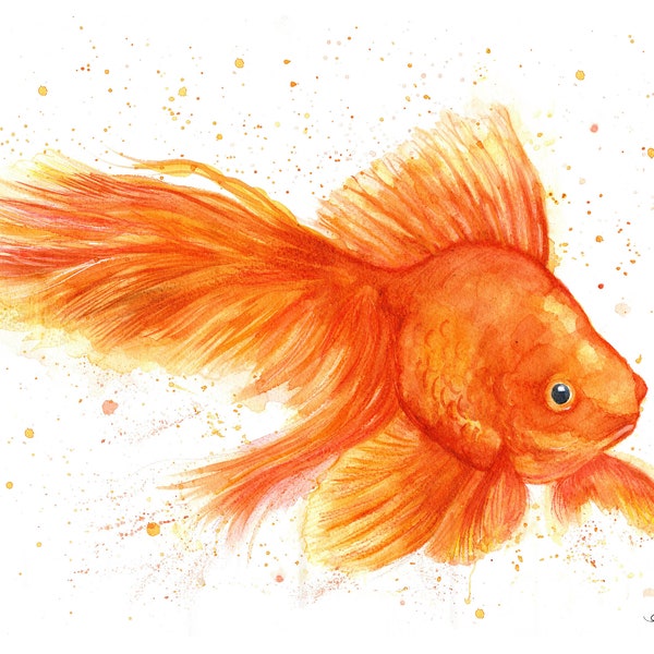 Orange Goldfish print. Goldfish greeting card. Goldfish art. Goldfish wall decor. Goldfish gift. Goldfish watercolour. Goldfish watercolor.