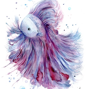 Imprimé poisson. Carte de voeux de poisson Betta. Art de poisson. décoration murale. Cadeau poisson. Aquarelle de poisson. Aquarelle de poisson.
