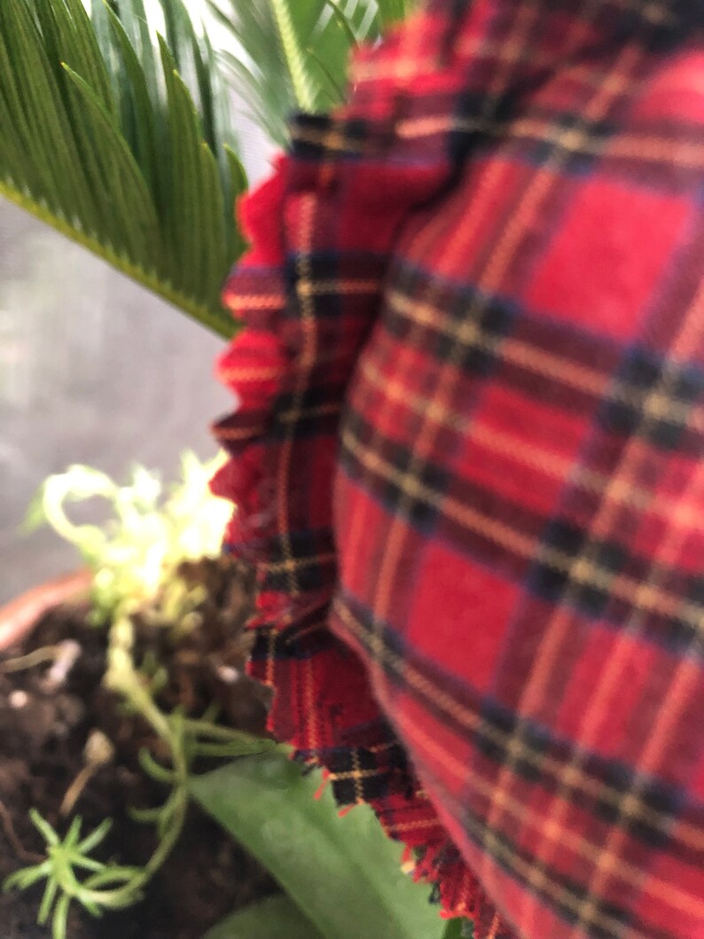 May include: Close-up of a red, black, and yellow plaid fabric with a frayed edge.