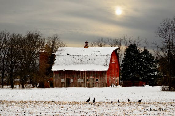 Winter Barn 186 Barn Photography Pictures Of Barns Barn Etsy