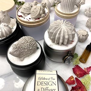 May include: Diffuser jars with concrete animal and plant toppers, including turtles, cacti, and a hedgehog. The jars are in black and white tins, with a label that reads "DESIGN a Diffuser". Dried rose petals and moss are scattered around.