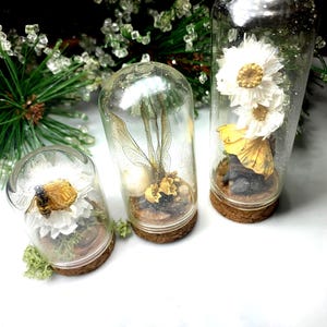 本物の昆虫ガラステラリウム3点ディスプレイ：昆虫と植物園の剥製ガラスドーム妖精マジックアート〜トンボの羽〜蛾