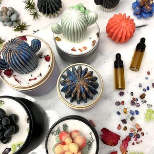 May include: An assortment of cactus and succulent-shaped soaps and candles in shades of green, blue, and orange. Some are presented in small metal tins with decorative elements. Two small amber glass bottles are also visible, alongside colourful stones and dried flowers.