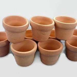 10 Pcs Blank Dollhouse Miniature Fairy Garden Accessories Cactus Terracotta Pots Ornament Plant Tree Doll Toy Home Decor 1:12 Scale