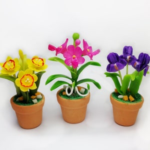 Pode incluir: Três arranjos florais em miniatura em vaso. O primeiro vaso tem flores amarelas com centros vermelhos. O segundo vaso tem flores cor-de-rosa com folhas verdes. O terceiro vaso tem flores roxas com folhas verdes.
