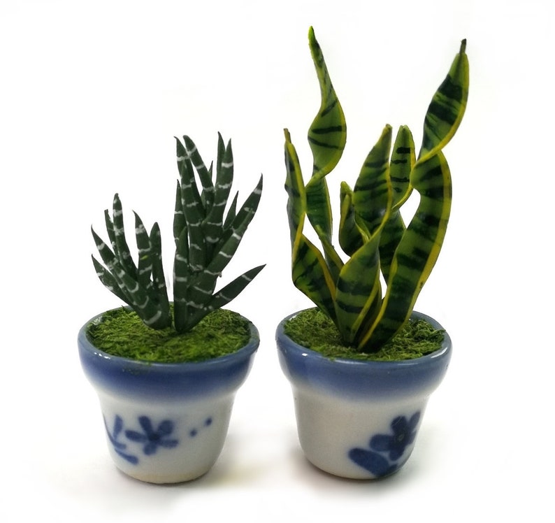 2 of Snake Plants in Glazed Ceramic Pots Dollhouse Miniature Etsy