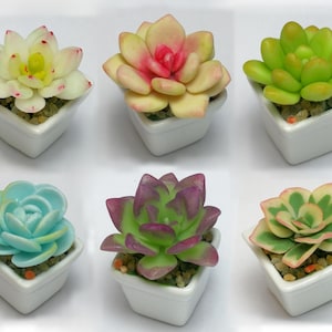 May include: Six small white ceramic pots with different colored artificial succulents. The succulents are in shades of green, pink, yellow, and blue.