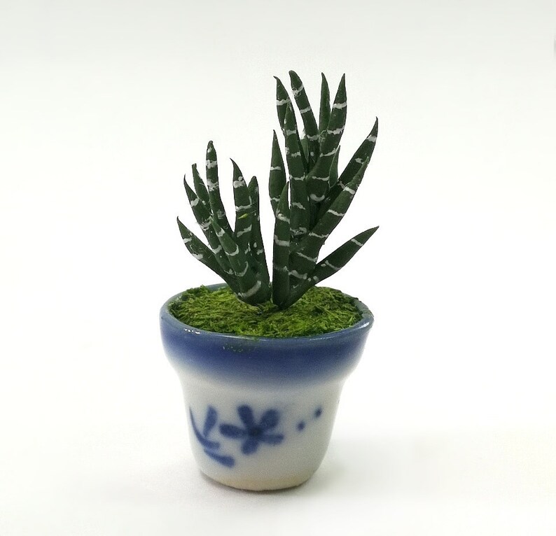 2 of Snake Plants in Glazed Ceramic Pots Dollhouse Miniature Etsy