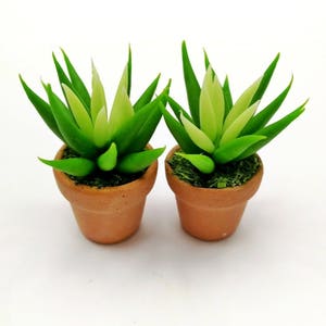 Miniature Agave Plant in Terracotta Pot: Dollhouse Fairy Garden Decor