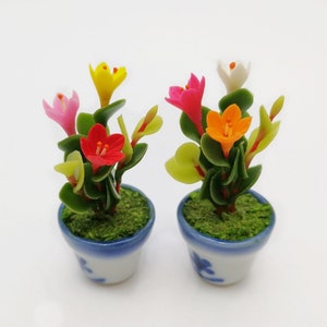 2 of Dollhouse Mini Colorful Little Hogweed Flowers Trees in Glazed Ceramic Pots Fairy Garden Ornament Artificial Plant Home Decor